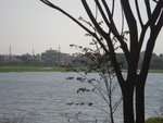 jakkasandra_lake, India