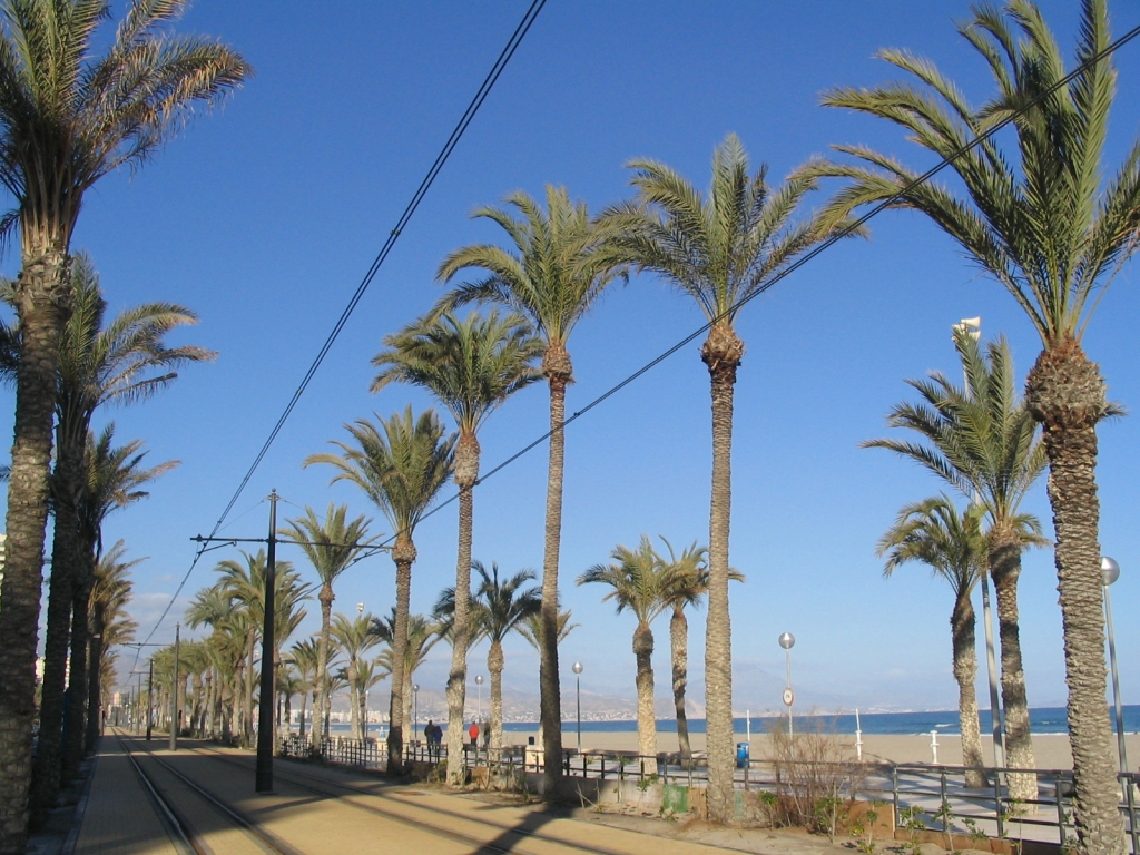 San Juan Beach, Alicante