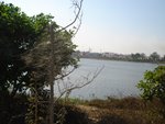 jakkasandra_lake, India