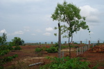 manipal