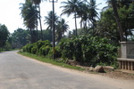 mysore