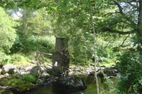 wild_wicklow
