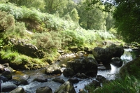 wild_wicklow, Ireland