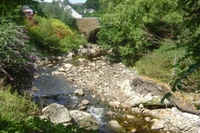 wild_wicklow, Ireland