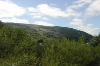 wild_wicklow, Ireland