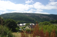 wild_wicklow
