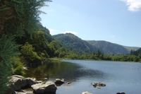 wild_wicklow